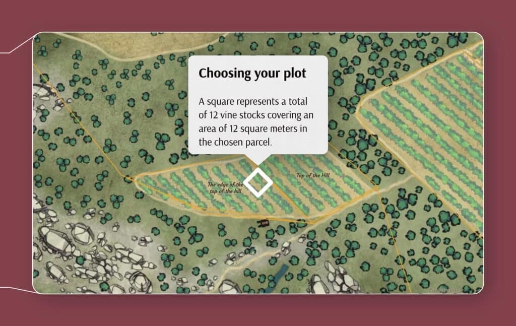 Second step : choosing your plot