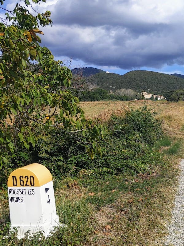 Borne routière D 620 sur le bord d'une route passant au milieu d'un vignoble dans la Drôme